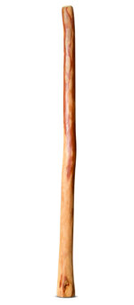 Natural Finish Flared Didgeridoo (TW1383)
